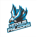 Noxius Falcons [Raid Team]