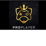 Pro_clan for bed wars