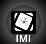 [MASverse] Jabatan Imigresen