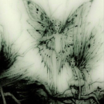 darkfairy-<3