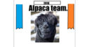 Alpaca team IRL