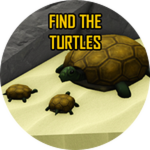 Find The Turtles