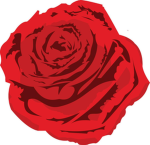 Rosa Inc.