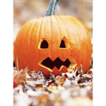 Halloween cool group