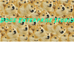 Doge Enterprise Studio