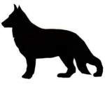 Shepherd®