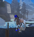 - Blue Ridge Riding Academy -