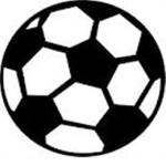 The Epic Soccer Fans