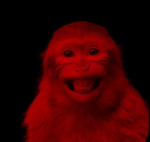 Monkey Vestments