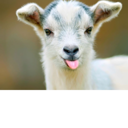 ༒ Banshee The Goat's Home ༒