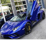 The Green Ville Lamborghini Gang