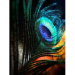 mygroupalex11222312