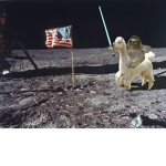 The Sloth and LLama Group!
