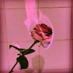 A group for anyone <3
