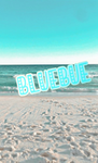 BlueBue’s fan+clothing group