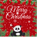Panda Power Group (PPG)
