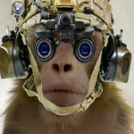 Special Operation Development Commnand Group Thumbnail