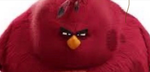ANGRY BIRDS!!!!!!