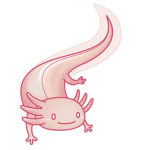 Axolotl's Clothing