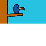 toucan .studios