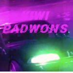 Kiwi PadwONs