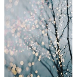 Aesthetic Hangout-place *CHRISTMAS*