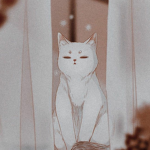 Snowy Cat squad