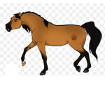 Horse Clubb