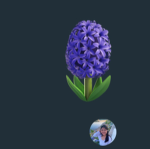 i like bees :3