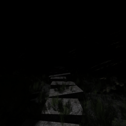 nyctophobia