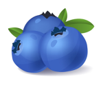 BlueBerries_Club
