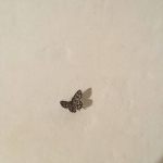 Kya’s Basement