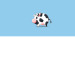 Katie’s cows <3