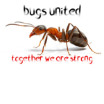 BUGS_UNITED