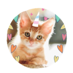 Unicat Ffi group!!!