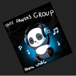 Baby Panda’s Group