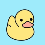 The developer duck crew