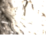 Idygcgygygvgfhvcugyvefyguvyegewvyugugyre