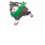 TEAM X Y