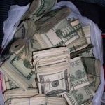 many shorts