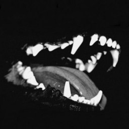•