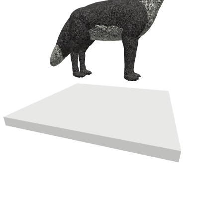 For Pop To Take And Morph For Latin Paws And Her W