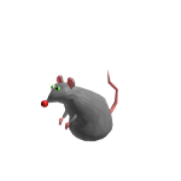 survive the rat 1