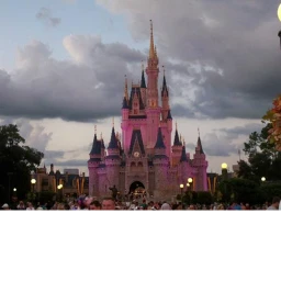 Disney World icon