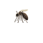 Mosquito squad :)