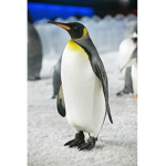Penguin Globe