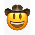 the cowboyssssss