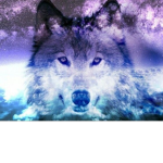 Galaxy~Wolves