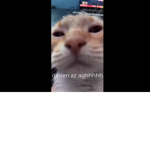 uniquename