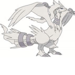 Pokemon winged white